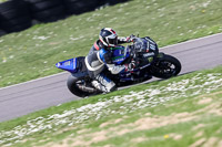 anglesey-no-limits-trackday;anglesey-photographs;anglesey-trackday-photographs;enduro-digital-images;event-digital-images;eventdigitalimages;no-limits-trackdays;peter-wileman-photography;racing-digital-images;trac-mon;trackday-digital-images;trackday-photos;ty-croes